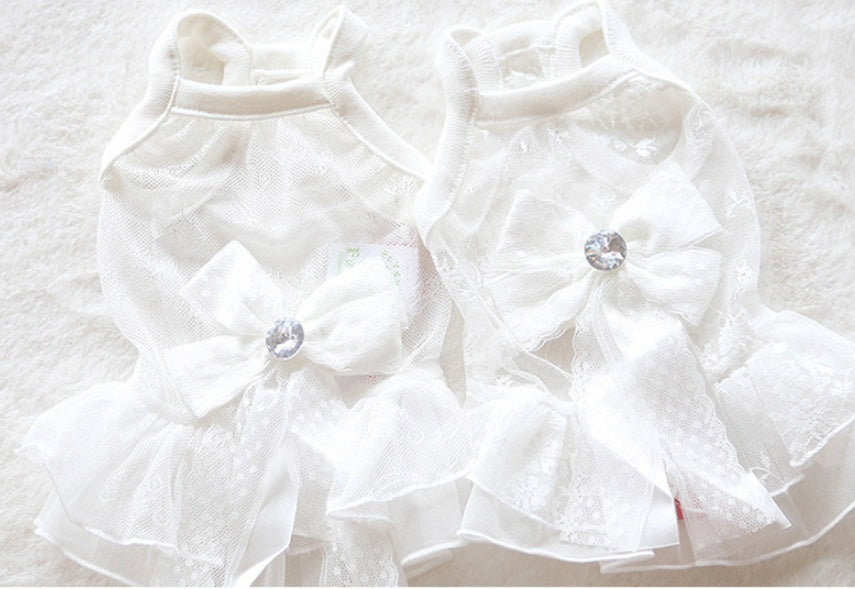 Robe de mariée en dentelle pour petit animal de compagnie, style été