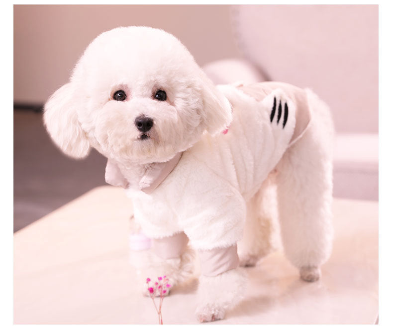 Vêtements pour Bichon Poméranien Teddy