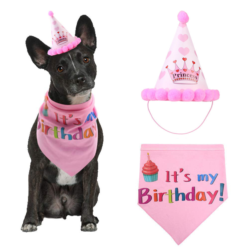 Chapeau d'anniversaire pour chien chapeau pour animal de compagnie