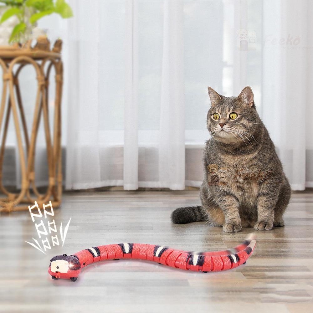 Jouets serpent électriques interactifs à induction pour animaux de compagnie