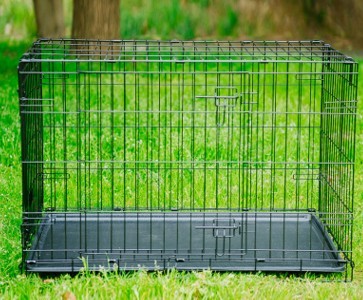 Cage pliable en métal pour chien et chat, modèle robuste