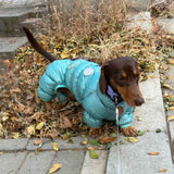 Autumn And Winter Pet Thermal Cotton-padded Clothes
