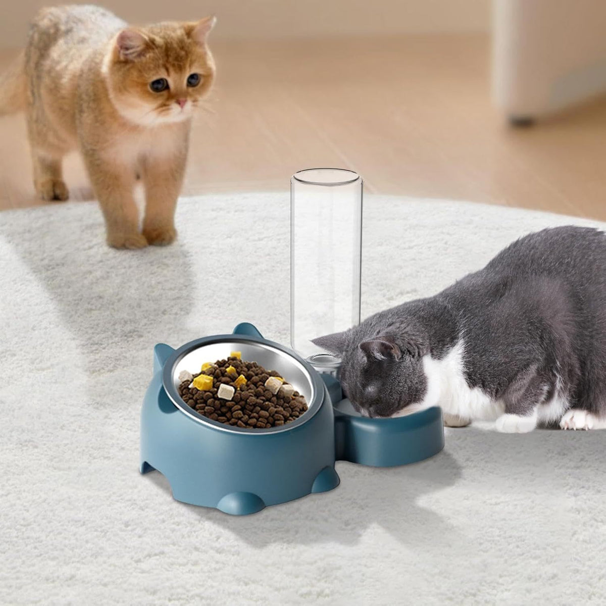 Ensemble gamelles pour chat – Gamelle inclinée à 16 degrés pour chien avec distributeur d'eau, gamelle amovible pour animaux de compagnie, gamelle pour boire et manger pour chien, gamelle amovible pour chats et chiens
