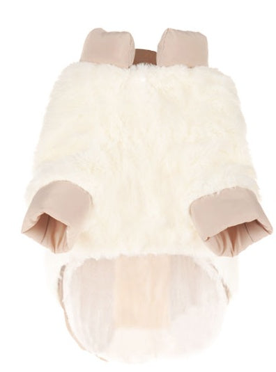 Pomeranian Bichon Teddy Clothes