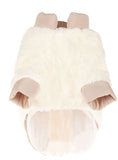 Pomeranian Bichon Teddy Clothes