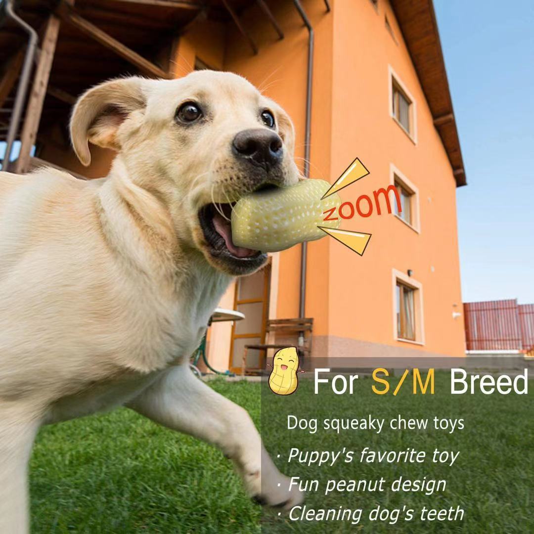 Jouet couineur amusant pour chiens de petite et moyenne taille, jouet à mâcher en caoutchouc résistant aux morsures pour chiots et chats, nettoie les dents