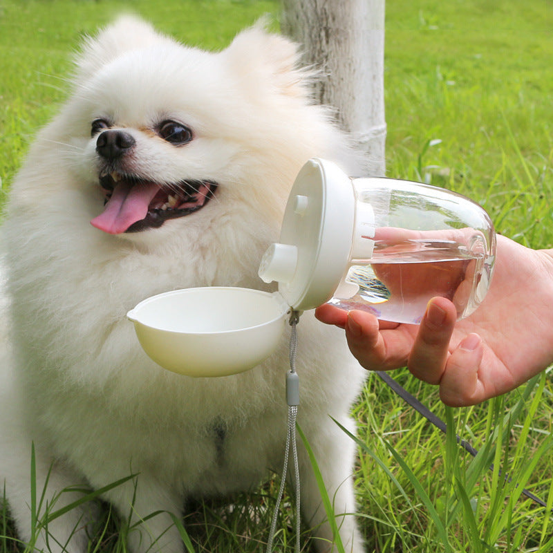 Gourde pliable et portable pour animaux de compagnie (chiens et chats) pour l'extérieur