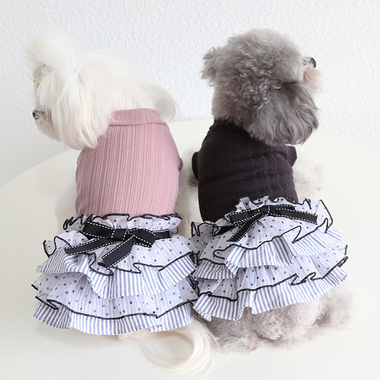 Robe de gâteau en dentelle à pois pour animaux de compagnie
