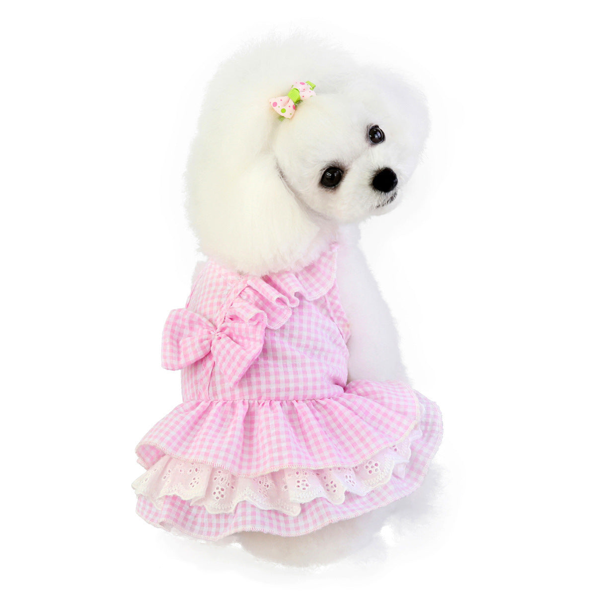 Vêtements pour animaux, accessoires pour chiens, robe à nœud papillon