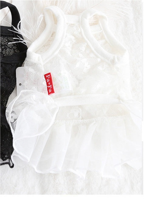 Robe de mariée en dentelle pour petit animal de compagnie, style été