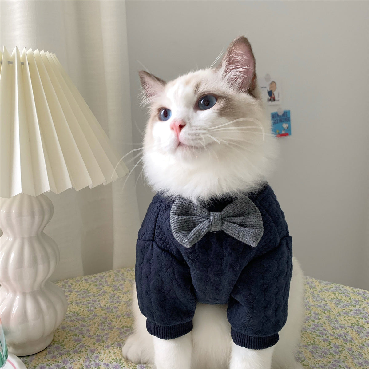 Vêtements chauds et mignons pour les pattes d'animaux