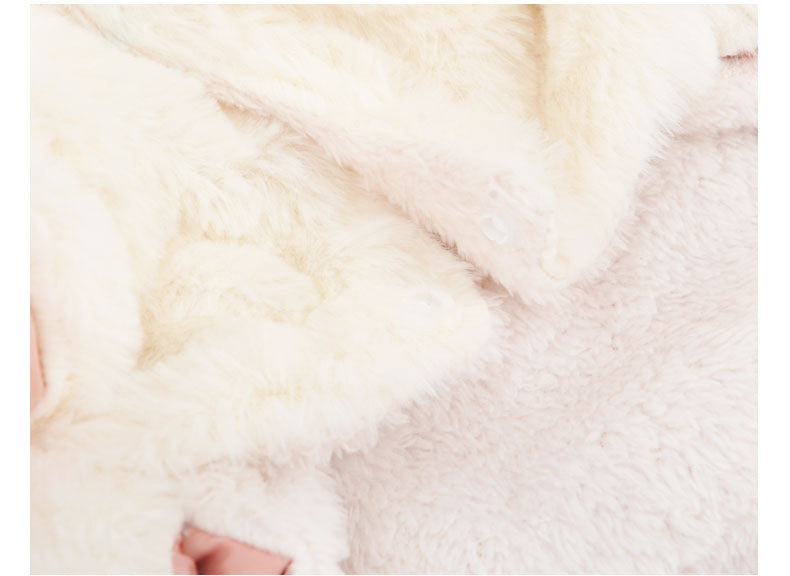 Vêtements pour Bichon Poméranien Teddy