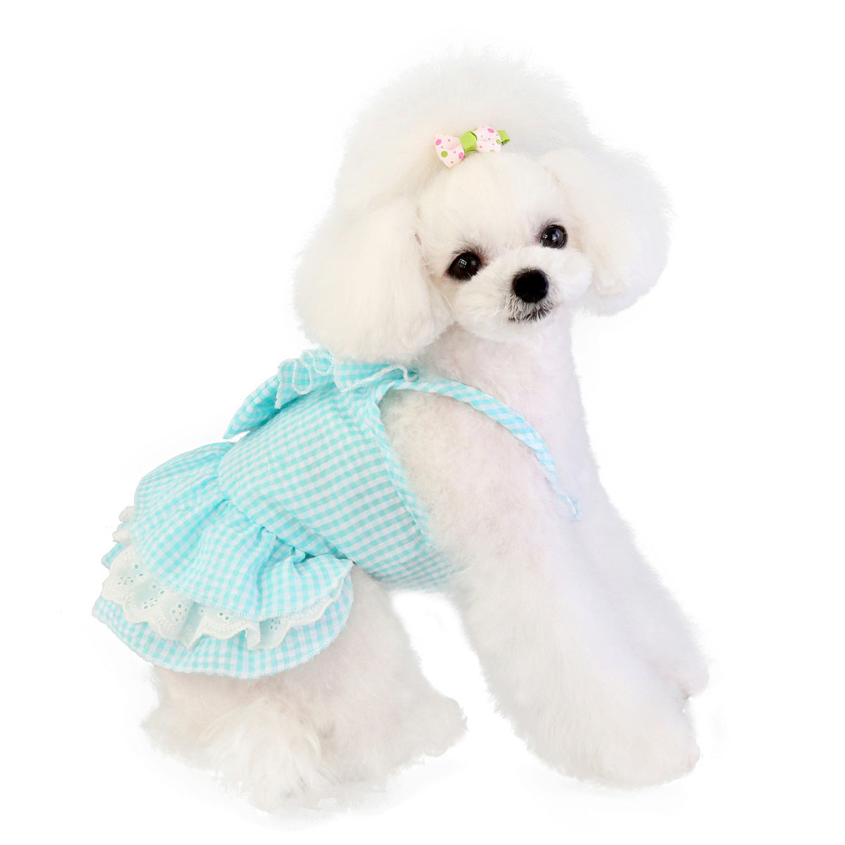 Vêtements pour animaux, accessoires pour chiens, robe à nœud papillon