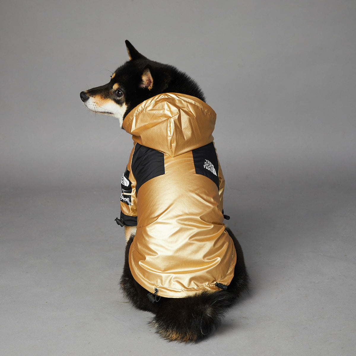 Imperméable pour grand chien Veste pour animaux de compagnie