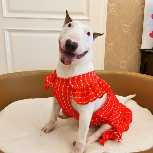 Jupe pour animal de compagnie à carreaux avec dentelle, motif chat et chien mignon
