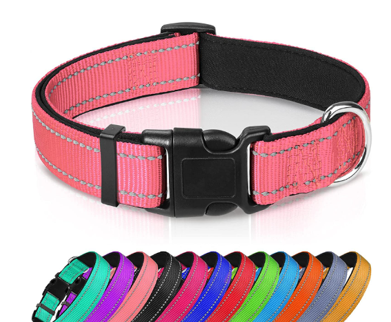 Adjustable Reflective Nylon Webbing Dog Collar in black with colorful options below, showcasing comfort and durability.
