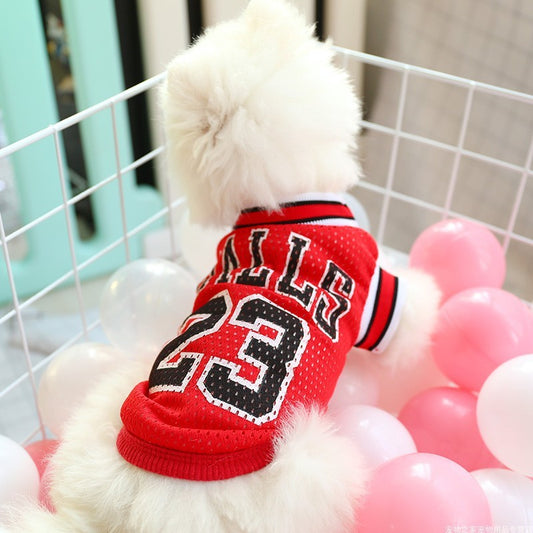 Vêtements d'été pour chien Gilet Teddy Respirant