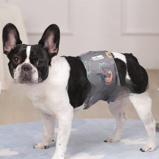 Couches lavables physiologiques pour chien