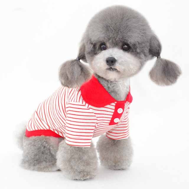Vêtements pour animaux