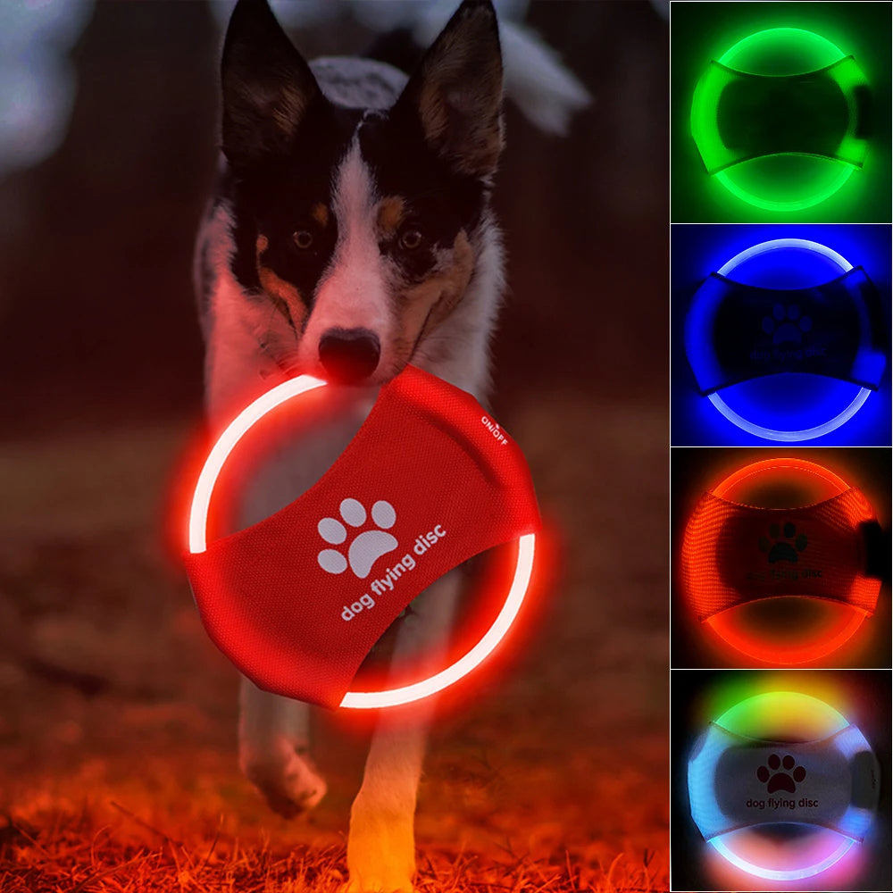 Disques volants lumineux pour chien - Jouets interactifs lumineux à LED pour l'entraînement - Accessoires pour animaux de compagnie