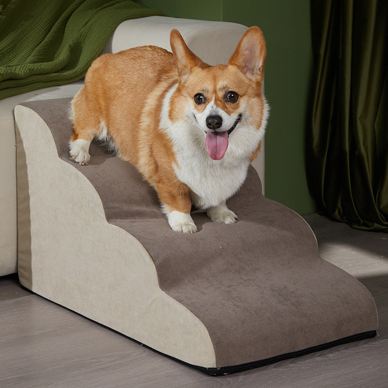 Rampe d'escalier antidérapante pour chien