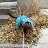 Autumn And Winter Pet Thermal Cotton-padded Clothes