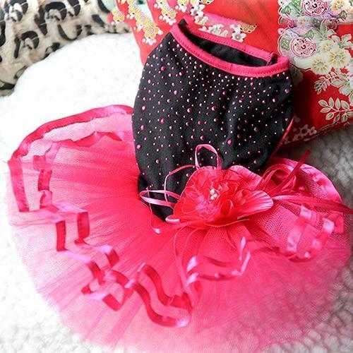 Robe de mariée pour princesse de compagnie, nouvelle robe pour animal