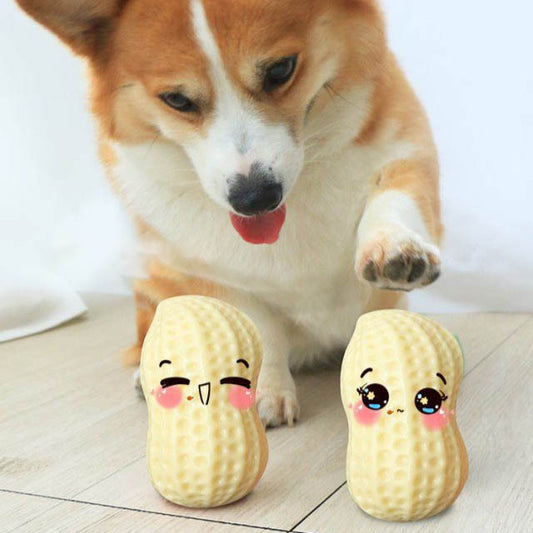 Jouet couineur amusant pour chiens de petite et moyenne taille, jouet à mâcher en caoutchouc résistant aux morsures pour chiots et chats, nettoie les dents