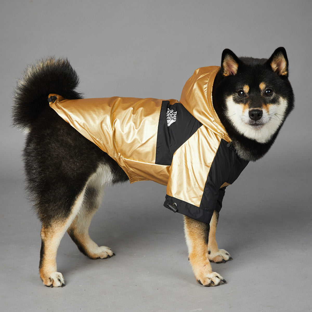 Imperméable pour grand chien Veste pour animaux de compagnie