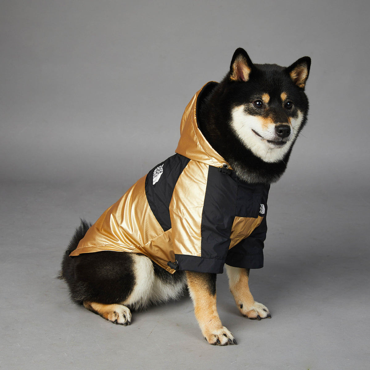 Imperméable pour grand chien Veste pour animaux de compagnie