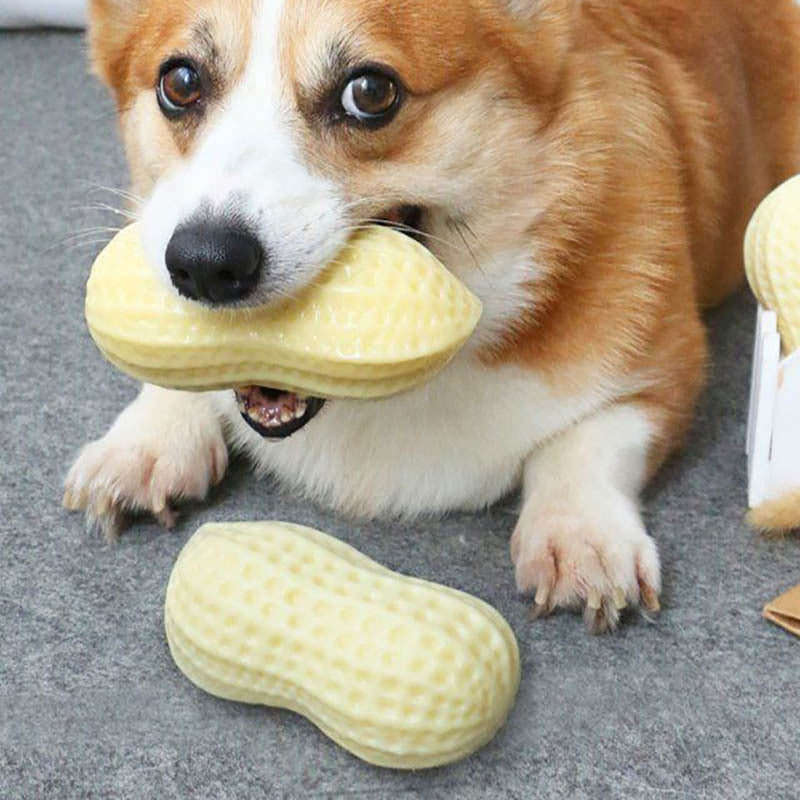 Jouet couineur amusant pour chiens de petite et moyenne taille, jouet à mâcher en caoutchouc résistant aux morsures pour chiots et chats, nettoie les dents