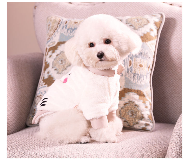 Vêtements pour Bichon Poméranien Teddy