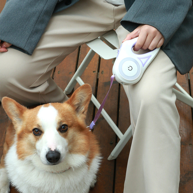 Dog Leash Retractable Leash And Dog Collar Spotlight