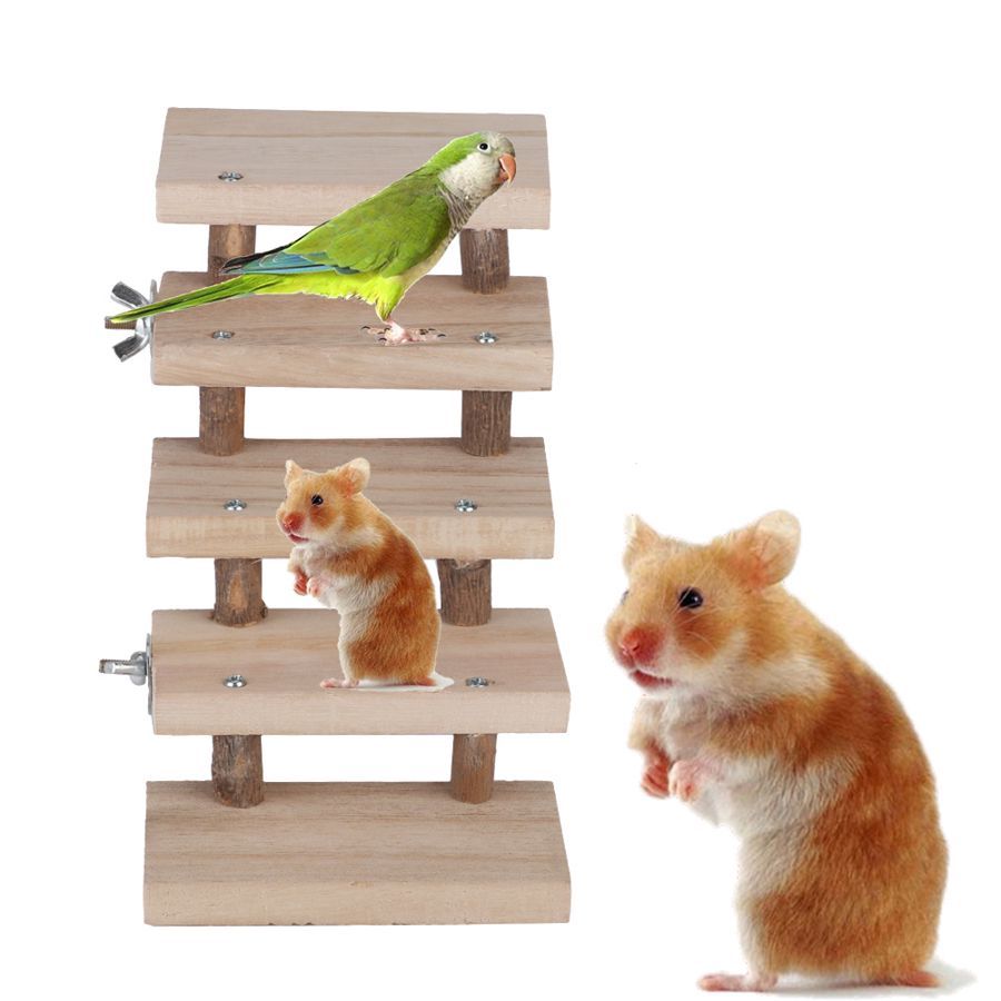 Animaux - Jouet pour animaux domestiques escalier en bois naturel