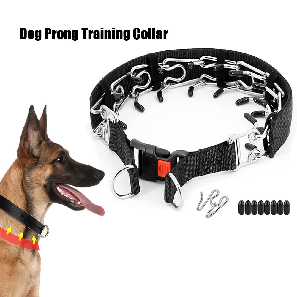 Chain Dog Training Stimulation Dog Collar Pet Supplies
