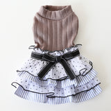 Polka Dot Lace Cake Dress Pet Clothes