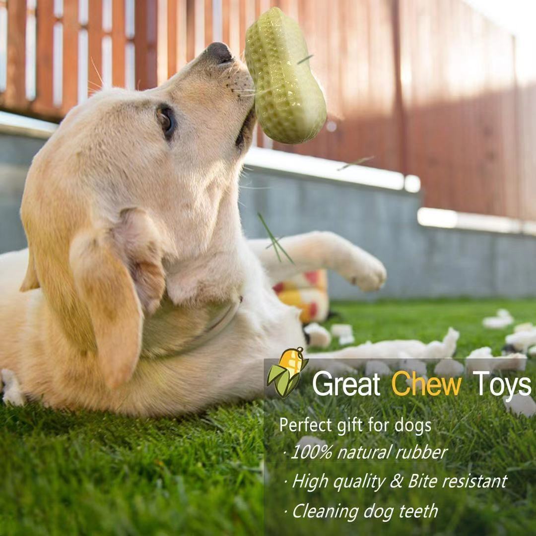 Jouet couineur amusant pour chiens de petite et moyenne taille, jouet à mâcher en caoutchouc résistant aux morsures pour chiots et chats, nettoie les dents