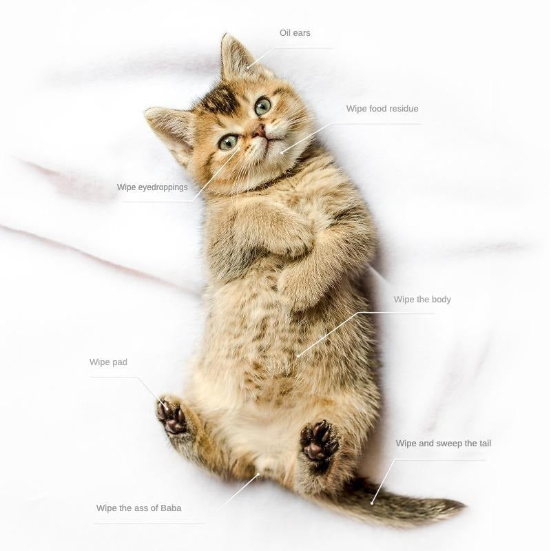 PET Cleaning  Deodorizing Bathing Wipes
