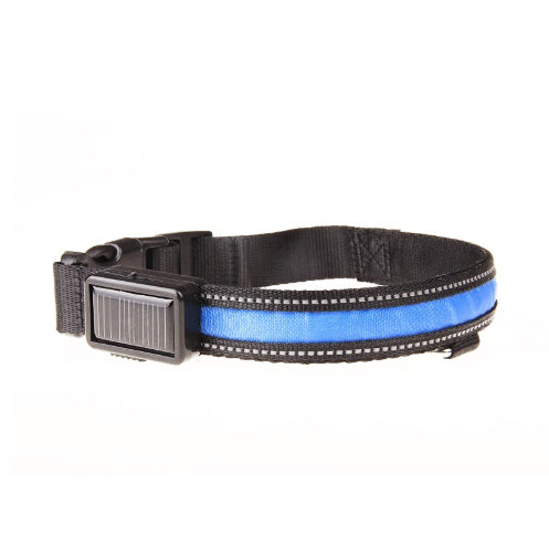 Collier pour chien fluorescent