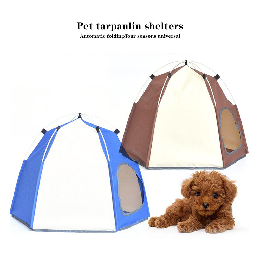 Tente hexagonale pour animal de compagnie tendance