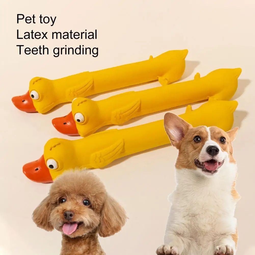 Jouet pour chien en latex pour le grincement des dents, jouet durable pour la santé dentaire, jouet couineur en forme de canard jaune mignon pour le soulagement de l'ennui et le soin des dents