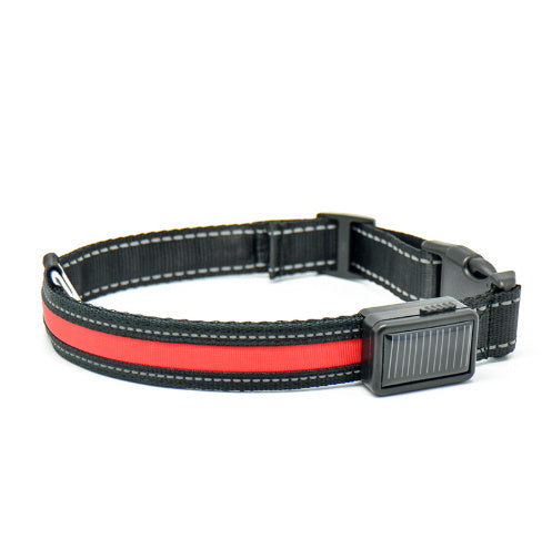 Collier pour chien fluorescent
