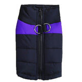 Dog Autumn And Winter Vest Teddy Golden Retriever Two-legged Cotton Padded Jacket Thickened Cold And Warm Small And Medium-sized Dog Chest Harness