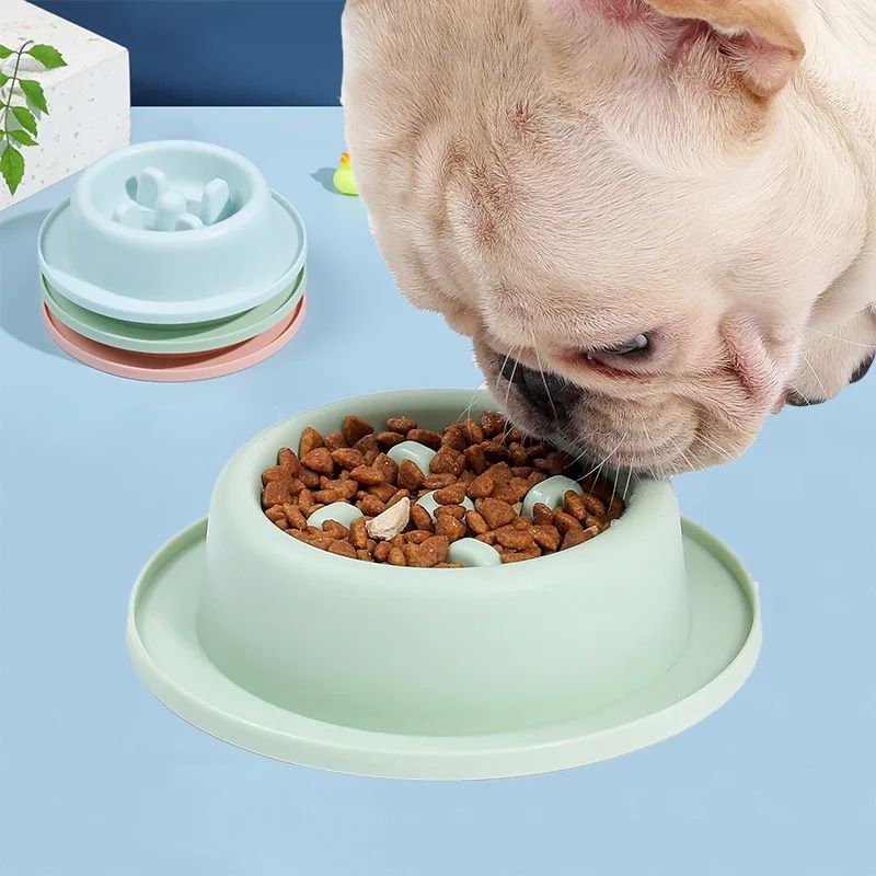 Gamelle Anti-Glouton pour Chien et Chiot - Mangeoire Lente Interactive