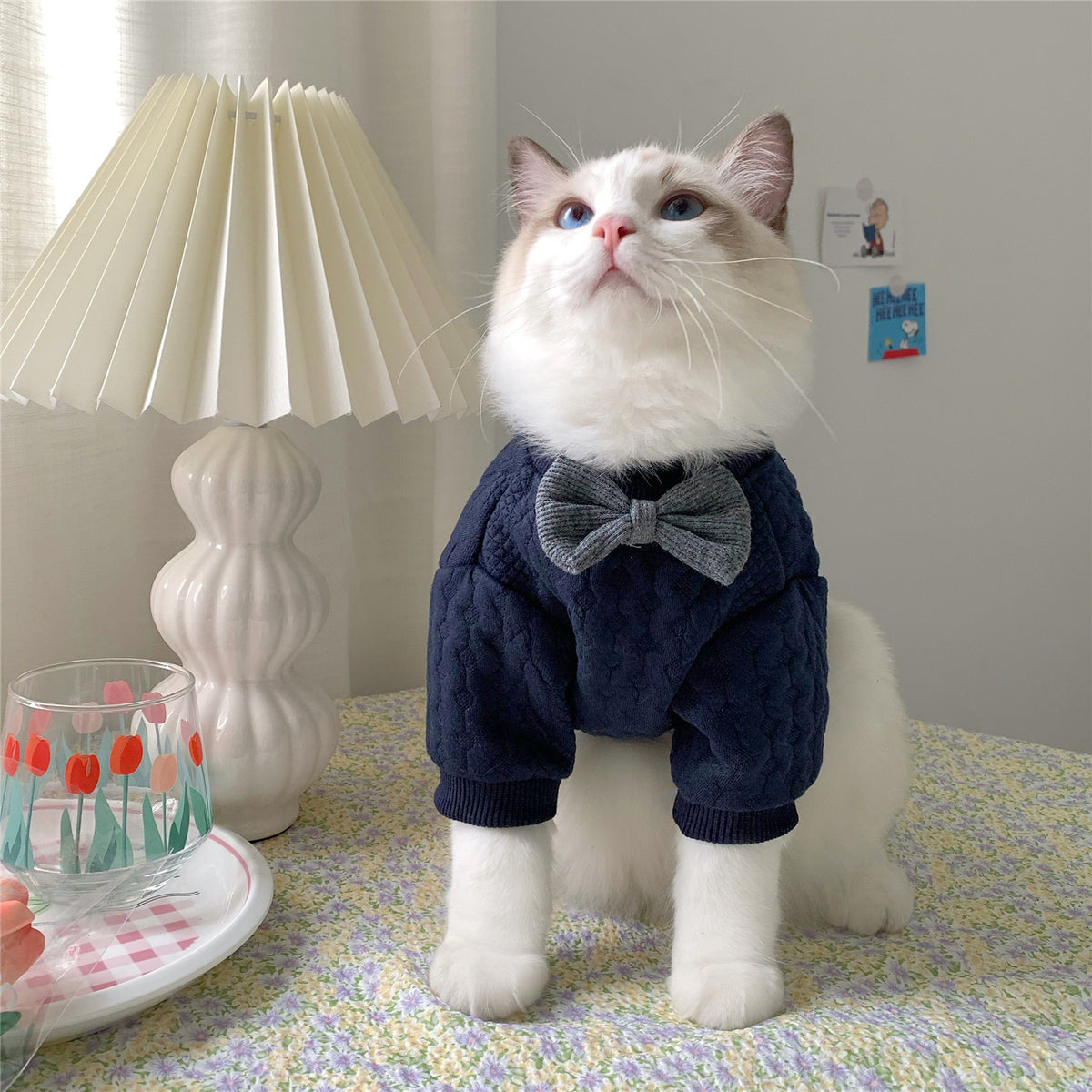 Vêtements chauds et mignons pour les pattes d'animaux