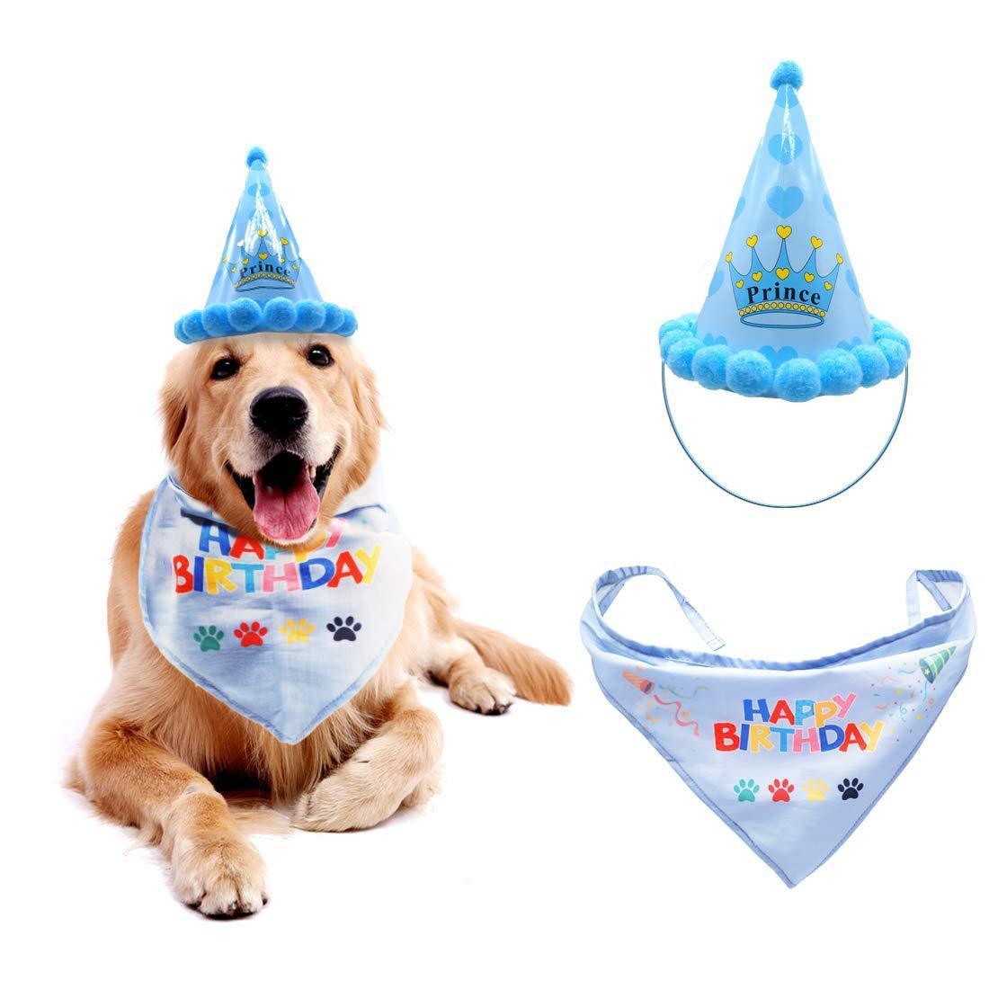 Chapeau d'anniversaire pour chien chapeau pour animal de compagnie