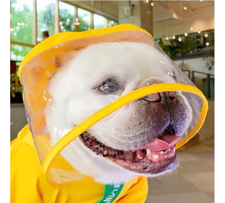 Adorable imperméable dinosaure pour animaux - pour les amoureux des animaux