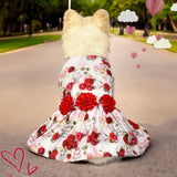 Creative Pet Cute Printed Dogs And Cats Skirt