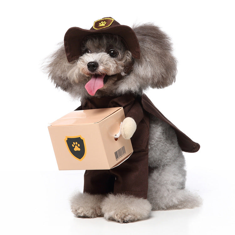 Vêtements pour animaux de compagnie et produits associés (Europe et Amérique)