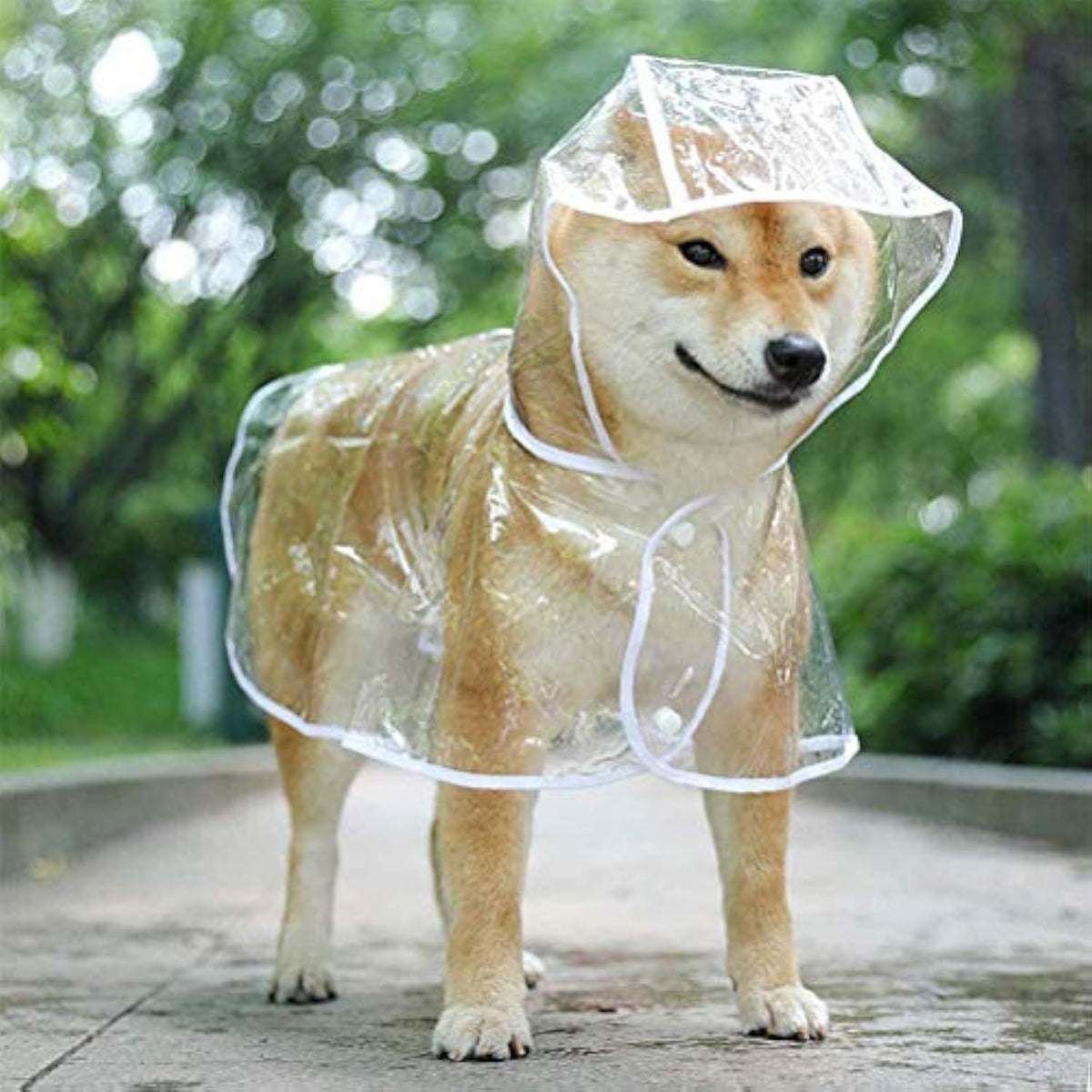 Imperméable transparent pour chiens de petite et moyenne taille, vêtement de pluie pour animaux avec capuche, matériaux légers et respirants, idéal pour les promenades en extérieur